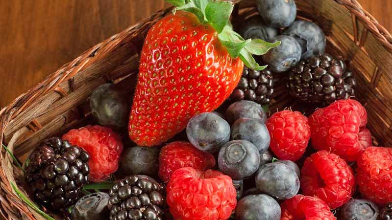 Berries son el segundo producto de exportación con más valor de México