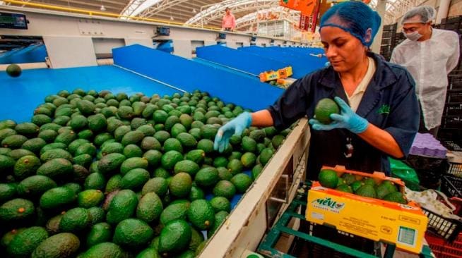 La actividad económica de México crece 3.2% interanual en julio