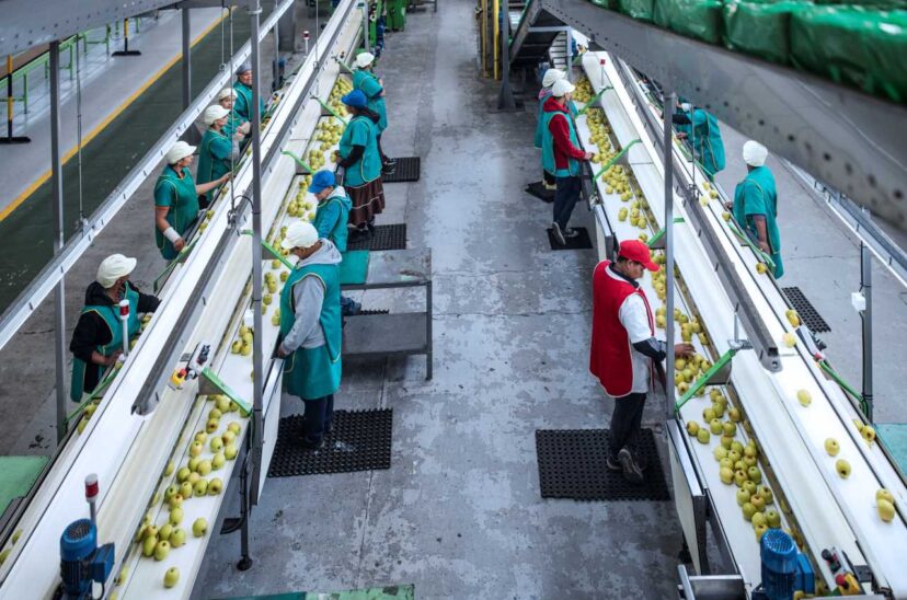NOM 251: cómo la higiene y calidad alimentaria impulsan el comercio internacional de México