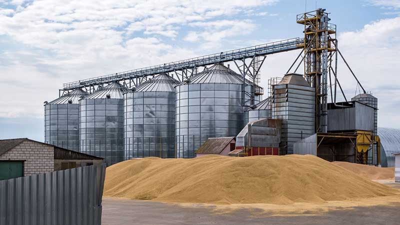La industria prevé aumento en importaciones mexicanas de maíz amarillo en 2024