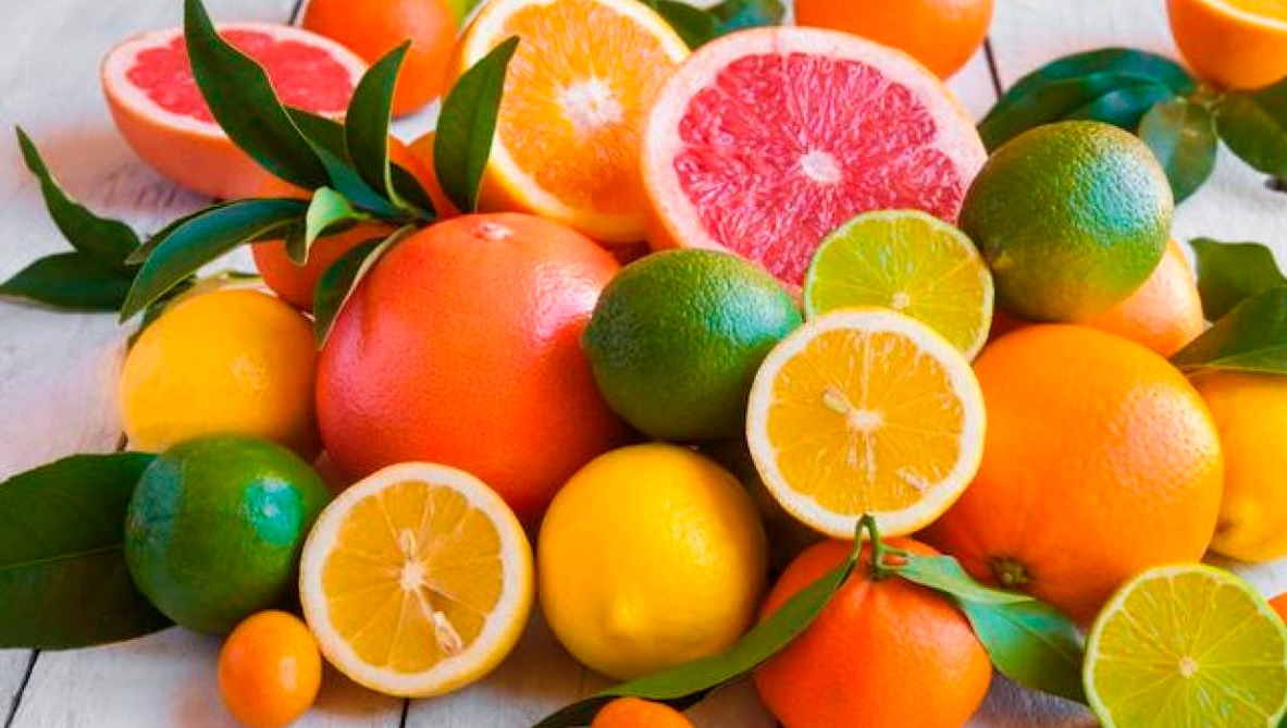México destaca exportaciones de cítricos, melón, sandía y papaya