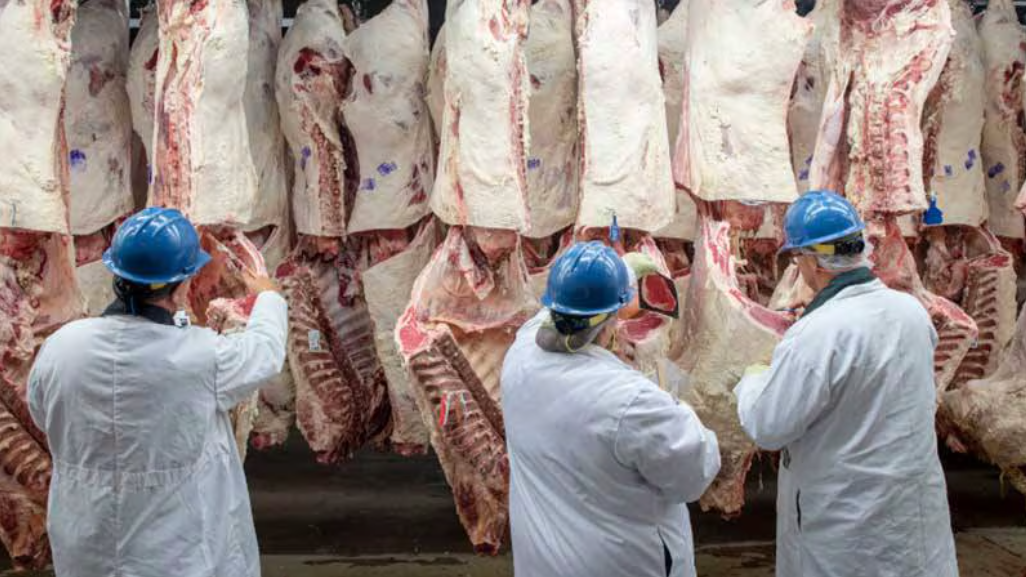 Gobierno analiza utilizar mecanismos del T-MEC ante etiqueta ‘Product of USA’