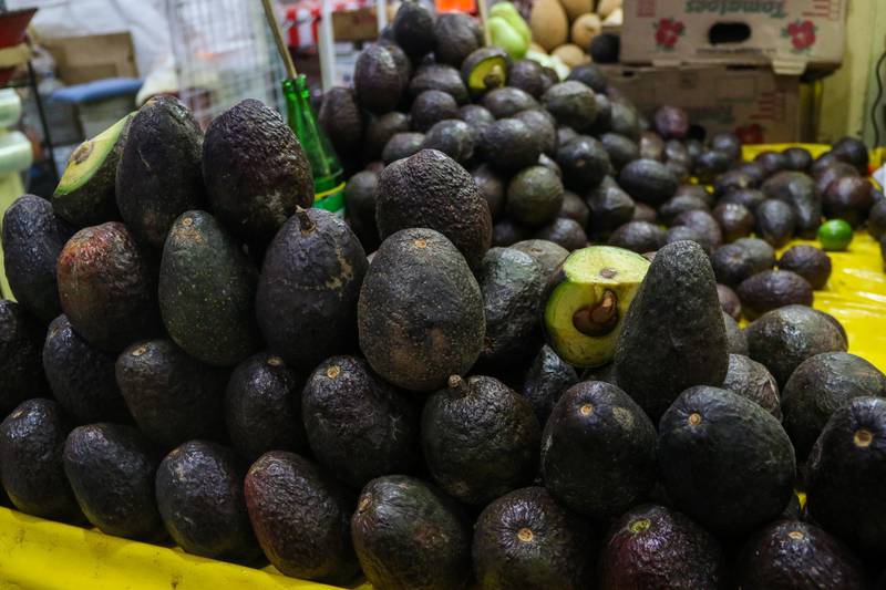 OMC da razón a México en controversia con Costa Rica por aguacates